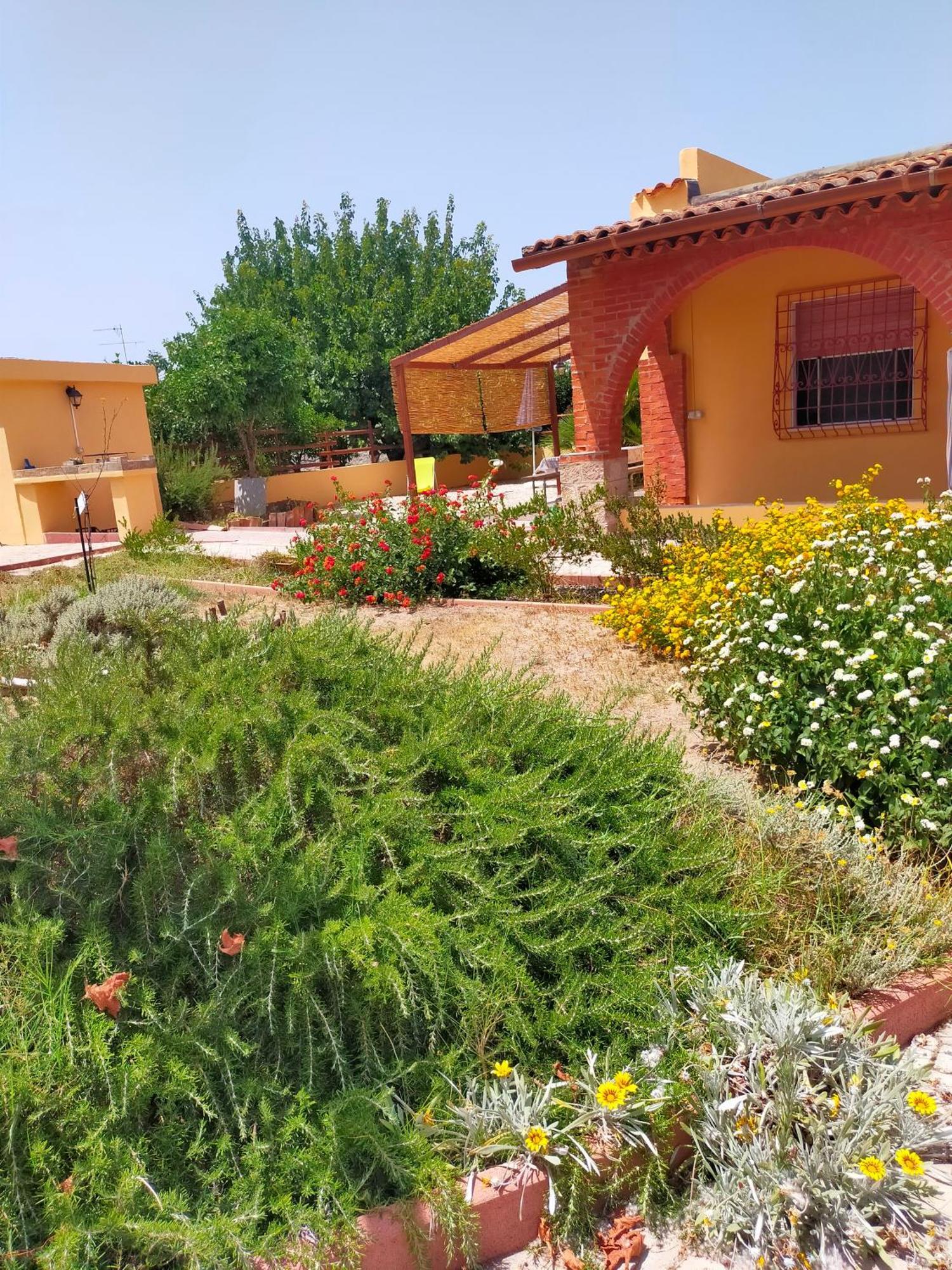 Casa Marina Lu Tuvaraggiu Casa Vacanze Sorso Exterior foto